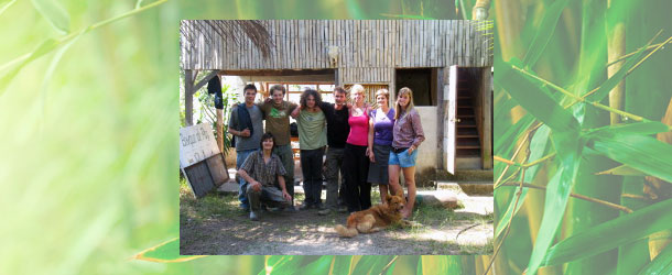 Volunteers work in Ecuador in permaculture