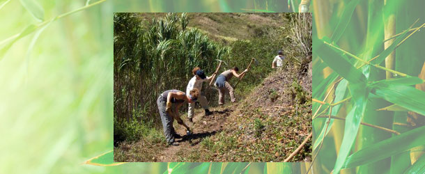 Sustainable development and conservation project in Ecuador for volunteers working in agriculture