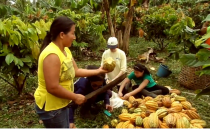 a second video exploring study abroad and service learning in Ecuador with the Tsa'chila culture