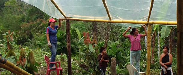 creating a vegetable plot to grow nutritious food to improve diet in Santo Domingo, Ecuador