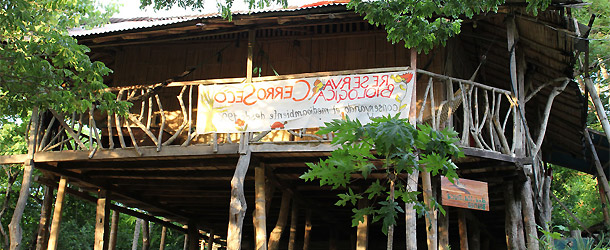 a project in coastal woodland conservation in Ecuador at the Pacific coast for volunteers