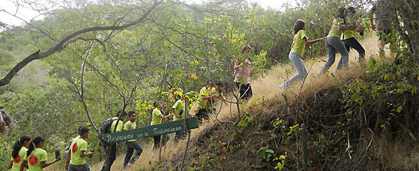 Volunteering in dry forest conservation in Ecuador at the Pacific coast