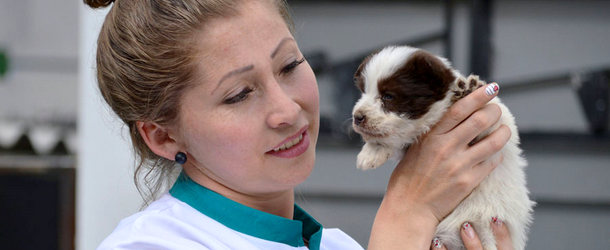 volunteer in pet rescue center in Quito