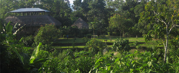 a volunteer project in the Amazon in Ecuador for global citizenship students