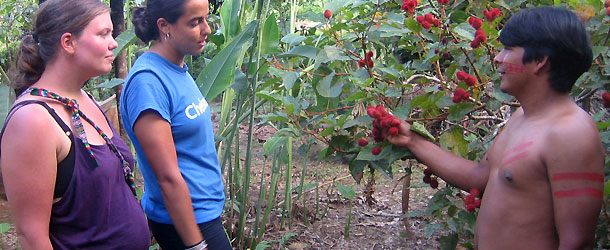 learning about native plants in the Amazon on a service learning project in Ecuador