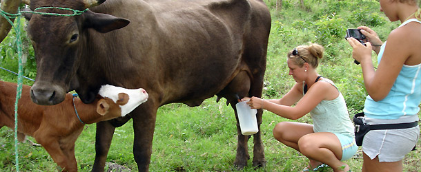 Interns and volunteers are welcome to volunteer their time in the Galapagos Islands working to conserve the local environment