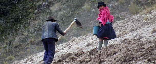 Volunteers work in Ecuador in indigenous communities in sustainable development projects