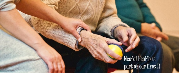 working at rescue center for pets in Quito