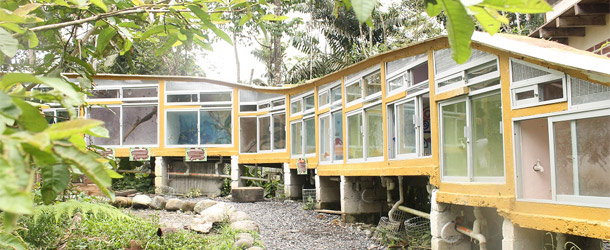 animal rescue volunteers in the Ecuadorian Amazon region