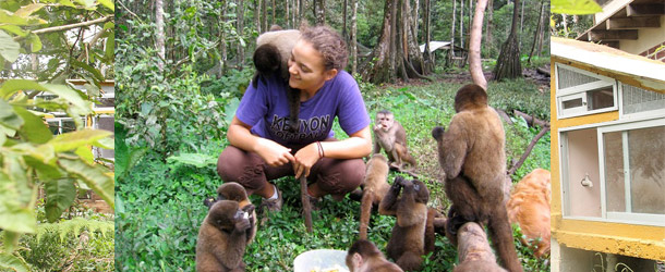 Volunteering at Paseo de los Monos in Ecuador