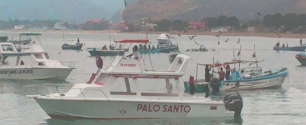 internship in conservation in Ecuador at the Pacific coast