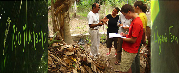volunteer on an organic farm at the Ecuadorian coast