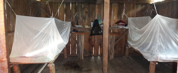 Study abroad in the Amazon jungle of ecuador 