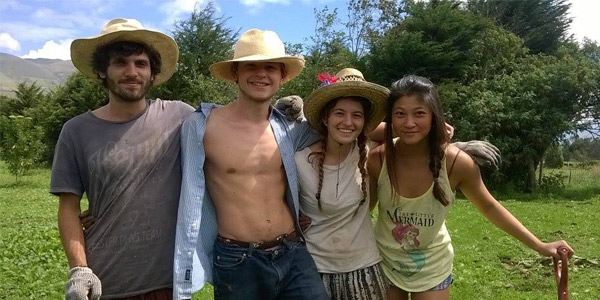 organic agriculture in the Andes for agricultural volunteers