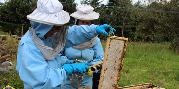 products of Ugshapamba farm for sale - a volunteer option in Ecuador