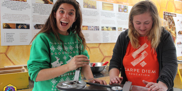 volunteer in agriculture or intern with Ugshapamba farm in the Andes of Ecuador