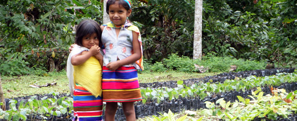 a volunteer project in sustainable development for the Tsa'chila culture of Santo Domingo in Ecuador
