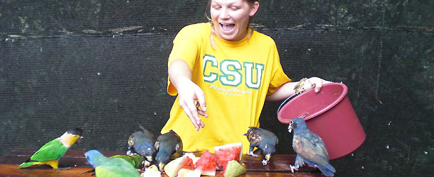 volunteer feeding parrots at an animal rescue center in Ecuador