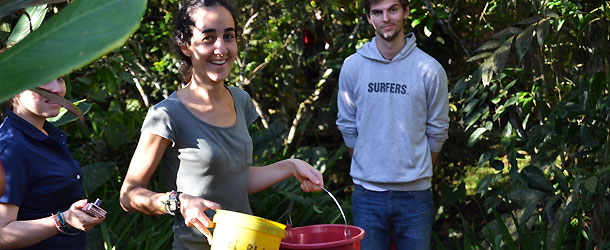 working in an animal rescue center in the Amazon for these volunteers