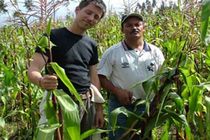 volunteer work in sustainable agriculture and agro forestry in the Andes of Ecuador